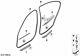 Bmw Genuine Front Right Driver Side Door Sealing Fits F36 F36 Lci 51727409194