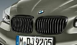 BMW Genuine M Performance Front Left Ornamental Grille Black 51712454967
