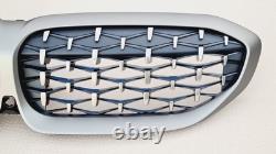 Bmw 3 Series G20 G21 M Sport New Genuine Front Bumper Grill Cerium Grey I Cam
