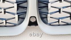 Bmw 3 Series G20 G21 M Sport New Genuine Front Bumper Grill Cerium Grey I Cam