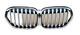 Bmw X1 F48 Lci 2019-2022 New Genuine Front Bumper Grill 51138493450