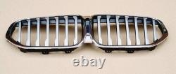 Bmw X1 F48 LCI 2019-2022 New Genuine Front Bumper Grill 51138493450
