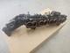 Genuine Bmw Intake Manifold + Actuator 2 Series, X1, X2 Brand New 11618513653