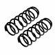 Genuine Kyb Pair Of Rear Coil Springs For Bmw 318d 2.0 Litre (10/2002-03/2003)