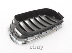 New Genuine BMW X6 E71 Front Grill N/S Left Side TITAN-Line 7307599 OEM 13-13