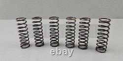 6x NOUVEAU RESSORT D’EMBRAYAGE BMW D’ORIGINE F700GS F800S F800GS F800R 18,5X2,2X63MM 8520308