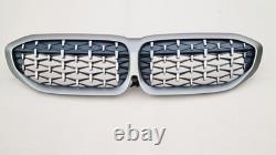 Bmw Série 3 G20 G21 M Sport Nouveau Grille de Pare-chocs Avant Genuine Gris Céramique I Cam